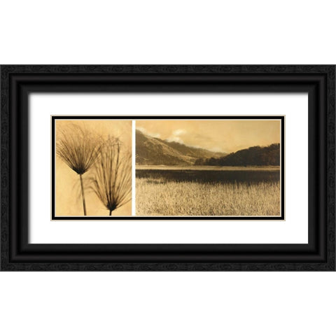 Bolinas Lagoon #7 Black Ornate Wood Framed Art Print with Double Matting by Gauthier, Jan