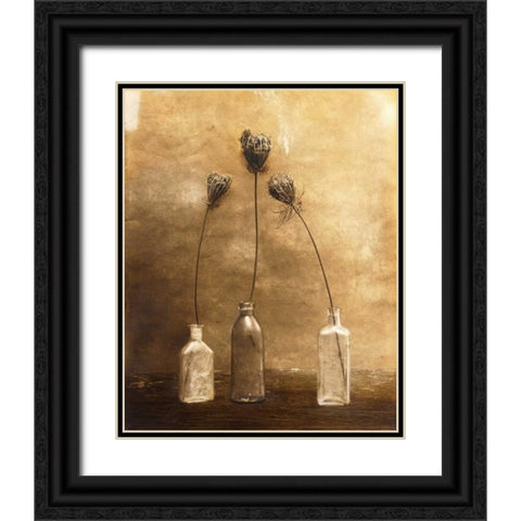 Three Views Black Ornate Wood Framed Art Print with Double Matting by Gauthier, Jan