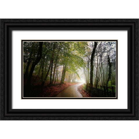 The Fence Black Ornate Wood Framed Art Print with Double Matting by Goncalves, Adelino