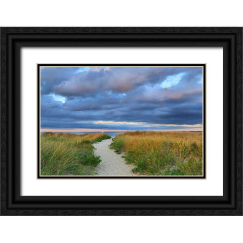 Jetties Beach Path Black Ornate Wood Framed Art Print with Double Matting by Gendreau, Katherine