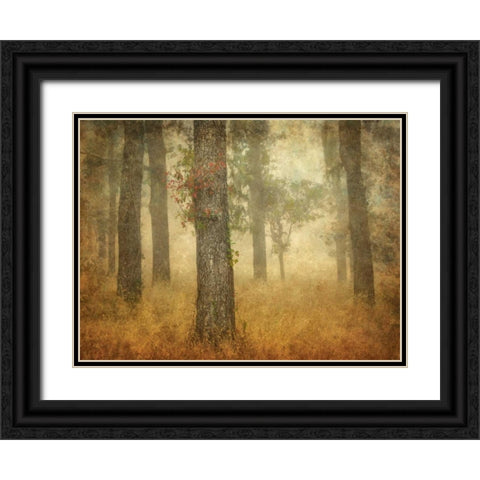 Oak Grove in Fog Black Ornate Wood Framed Art Print with Double Matting by Guion, William