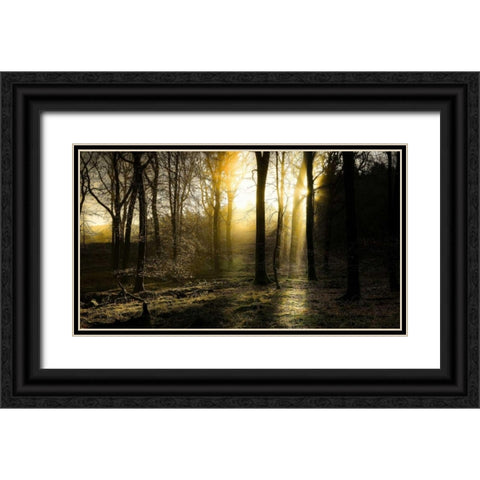 Autumn Lights Black Ornate Wood Framed Art Print with Double Matting by Goncalves, Adelino