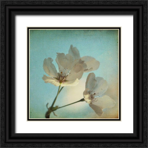 Spring Sings Black Ornate Wood Framed Art Print with Double Matting by Hanna, Dawn D.