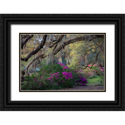 Oaks and Azaleas Black Ornate Wood Framed Art Print with Double Matting by Herrera, H.J.