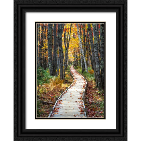 Autumn Boardwalk I Black Ornate Wood Framed Art Print with Double Matting by Head, Danny