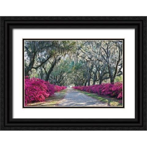 Azaleas Bonaventure Black Ornate Wood Framed Art Print with Double Matting by Hiers, Winthrope