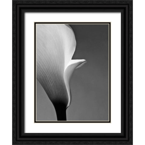 Calla No. 5 Black Ornate Wood Framed Art Print with Double Matting by PhotoINC Studio