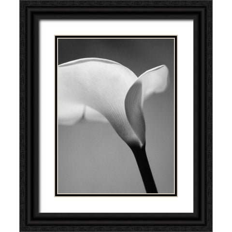 Calla No. 6 Black Ornate Wood Framed Art Print with Double Matting by PhotoINC Studio