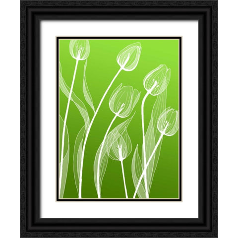 IN246_4 Black Ornate Wood Framed Art Print with Double Matting by GraphINC Studio