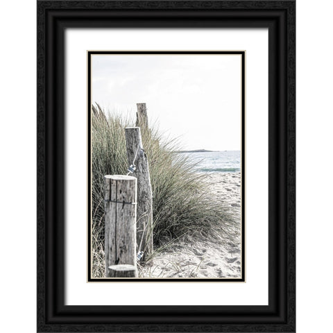 Coastal V Black Ornate Wood Framed Art Print with Double Matting by Incado