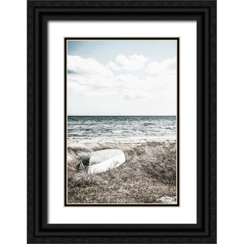 Coastal I Black Ornate Wood Framed Art Print with Double Matting by Incado