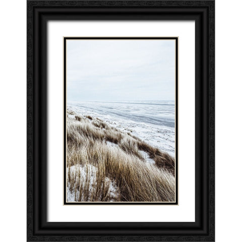 Coastal II Black Ornate Wood Framed Art Print with Double Matting by Incado