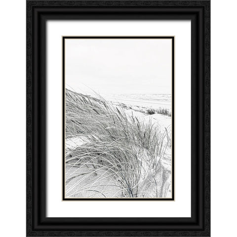 Coastal III Black Ornate Wood Framed Art Print with Double Matting by Incado