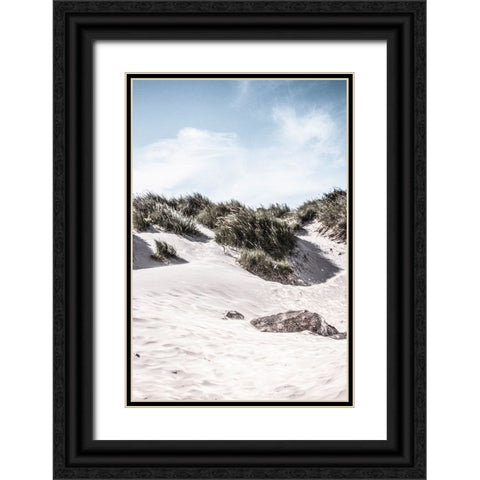Coastal IV Black Ornate Wood Framed Art Print with Double Matting by Incado