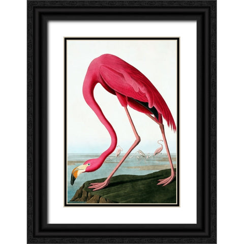 Flamingo Black Ornate Wood Framed Art Print with Double Matting by Incado