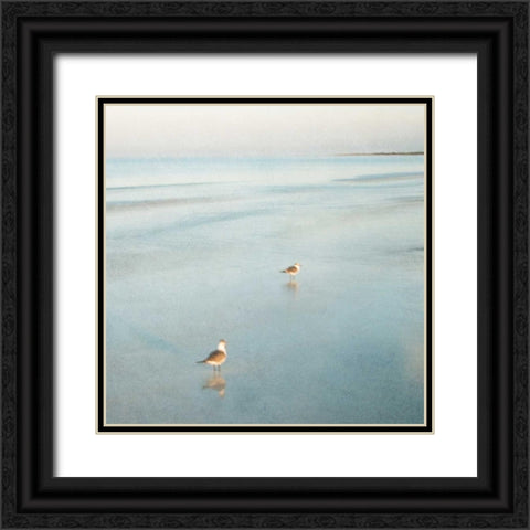 Two Birds on Beach Black Ornate Wood Framed Art Print with Double Matting by Juracek, John