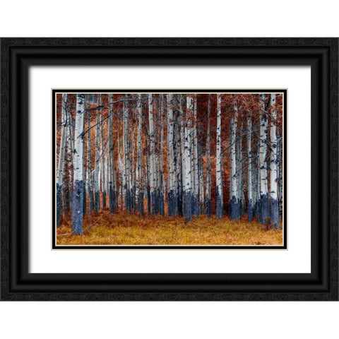 Autumn Forest Black Ornate Wood Framed Art Print with Double Matting by Kostka, Vladimir