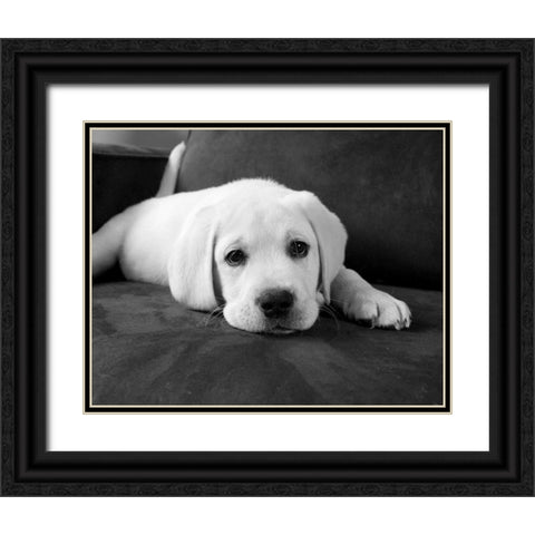 Finn Black Ornate Wood Framed Art Print with Double Matting by Levin, Kim