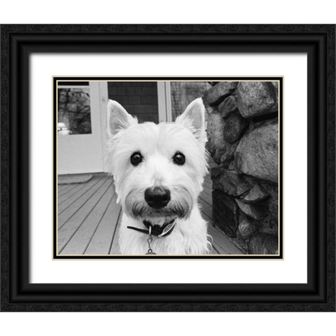 Rosie Black Ornate Wood Framed Art Print with Double Matting by Levin, Kim