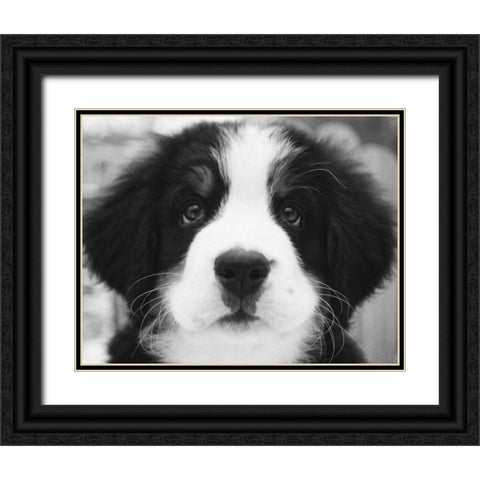 Ben Black Ornate Wood Framed Art Print with Double Matting by Levin, Kim