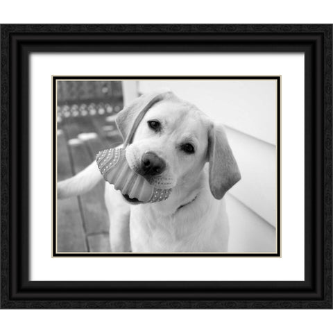 Blue Black Ornate Wood Framed Art Print with Double Matting by Levin, Kim