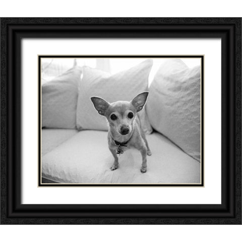 Sweetpea Black Ornate Wood Framed Art Print with Double Matting by Levin, Kim