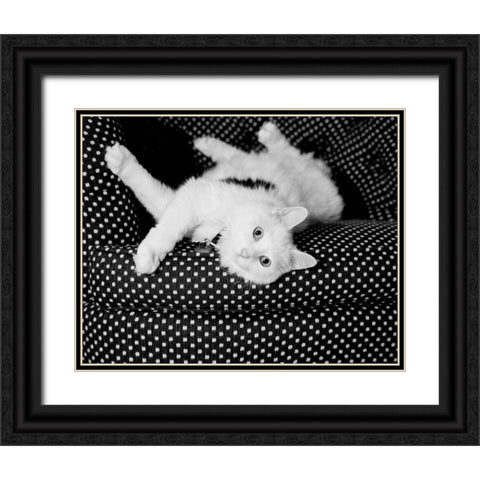Birdie Black Ornate Wood Framed Art Print with Double Matting by Levin, Kim