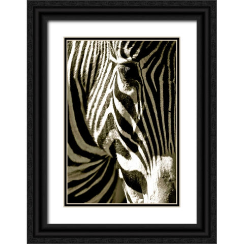 Zebra Head Black Ornate Wood Framed Art Print with Double Matting by Lawhorn, Courtney