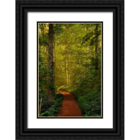 Fairytale Path Black Ornate Wood Framed Art Print with Double Matting by Mikaels, Natalie