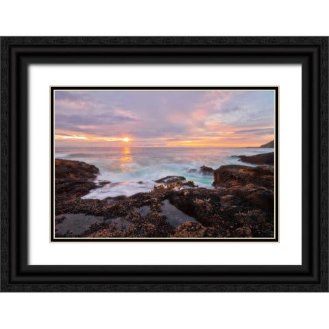 Natures Palette Black Ornate Wood Framed Art Print with Double Matting by Mikaels, Natalie