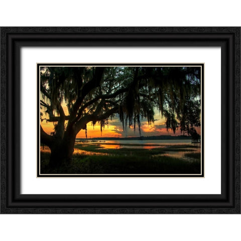 Savannah Evening Black Ornate Wood Framed Art Print with Double Matting by Mikaels, Natalie