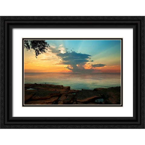 Tranquil Overlook Black Ornate Wood Framed Art Print with Double Matting by Mikaels, Natalie