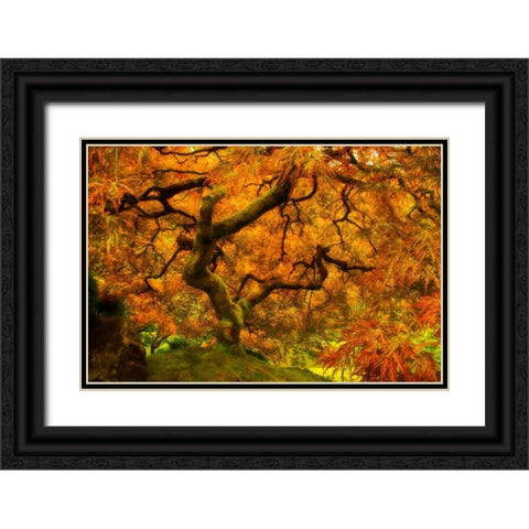 Wild Fire Black Ornate Wood Framed Art Print with Double Matting by Mikaels, Natalie