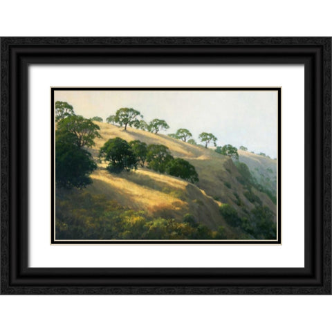 Afternoon Shadows Black Ornate Wood Framed Art Print with Double Matting by Oleary, Kathy