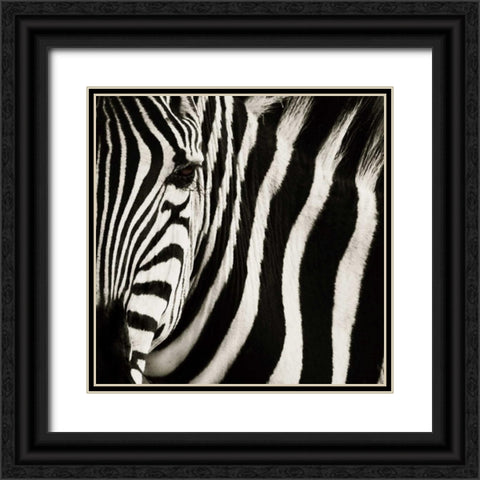 Camouflage I Black Ornate Wood Framed Art Print with Double Matting by Parker, Susann