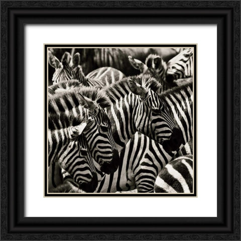 Camouflage II Black Ornate Wood Framed Art Print with Double Matting by Parker, Susann