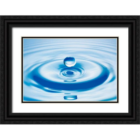 Droplet Black Ornate Wood Framed Art Print with Double Matting by PhotoINC Studio