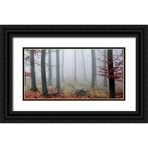 Misty Woods Black Ornate Wood Framed Art Print with Double Matting by PhotoINC Studio