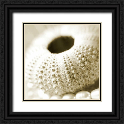 Shells and Pearls 2 Black Ornate Wood Framed Art Print with Double Matting by PhotoINC Studio