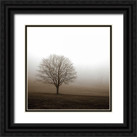 Tree in Mist 1 Black Ornate Wood Framed Art Print with Double Matting by PhotoINC Studio