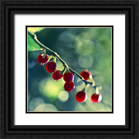 Luscious Black Ornate Wood Framed Art Print with Double Matting by Price, Melanie Alexandra