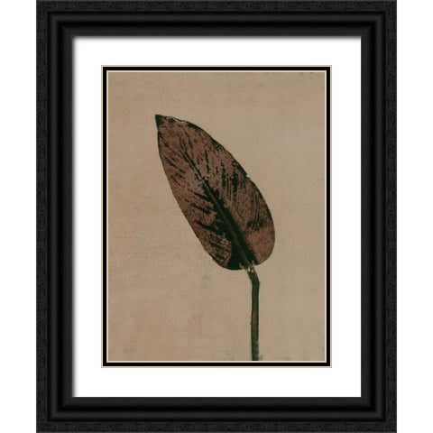 Calathea Brown Black Ornate Wood Framed Art Print with Double Matting by Folcarelli, Pernille