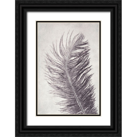 Feather 4 Light Black Ornate Wood Framed Art Print with Double Matting by Folcarelli, Pernille
