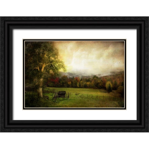 Abandoned Wagon Black Ornate Wood Framed Art Print with Double Matting by Rivera, John