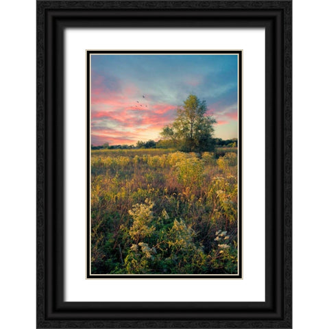Grateful for The Day Black Ornate Wood Framed Art Print with Double Matting by Rivera, John