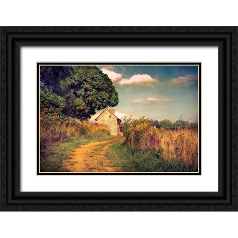 Webb Farm House Black Ornate Wood Framed Art Print with Double Matting by Rivera, John