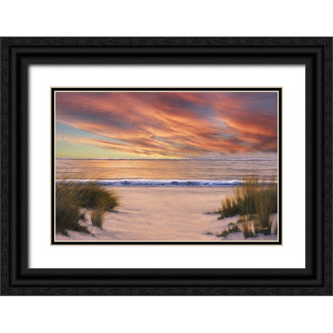 Beach Solitude Black Ornate Wood Framed Art Print with Double Matting by Romanello, Diane
