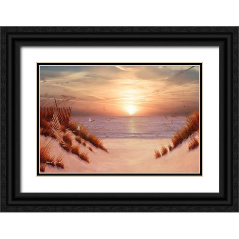 Dunes Black Ornate Wood Framed Art Print with Double Matting by Romanello, Diane