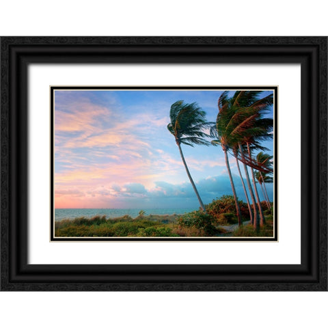 Seabreeze Black Ornate Wood Framed Art Print with Double Matting by Reed, Jack