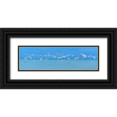 Sugarlife Seabirds Black Ornate Wood Framed Art Print with Double Matting by Reed, Jack